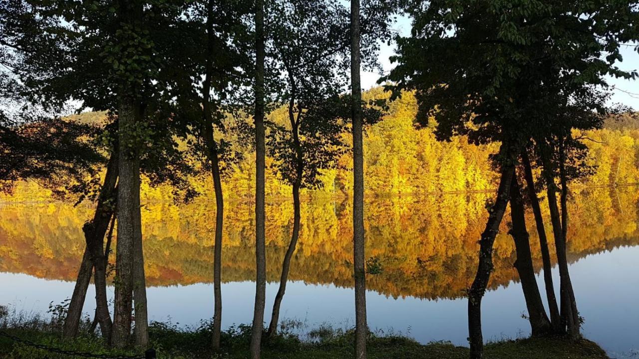 Zloty Potok Resort Eksteriør billede