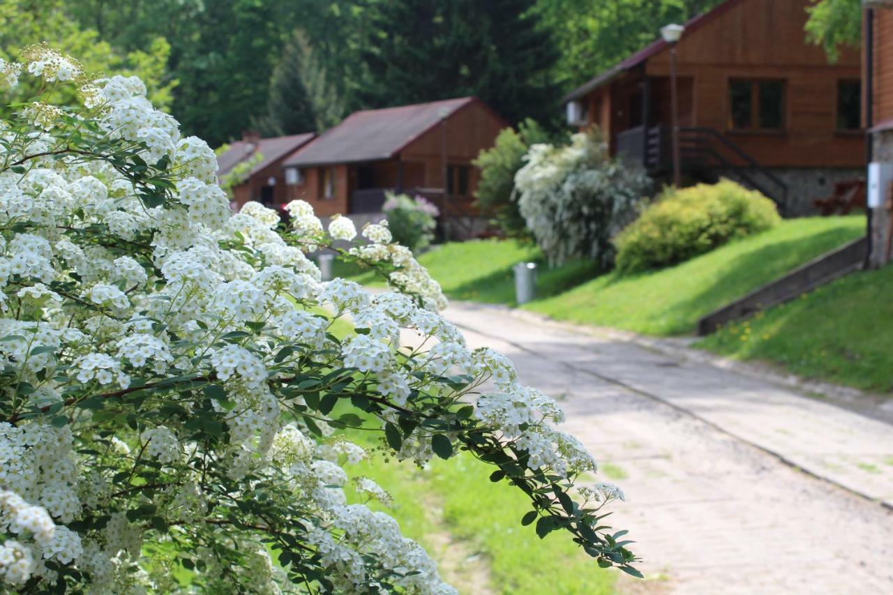 Zloty Potok Resort Eksteriør billede